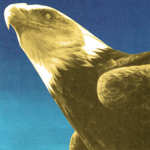 Protomartyr — Hotel Usona (Gold Vinyl) album cover