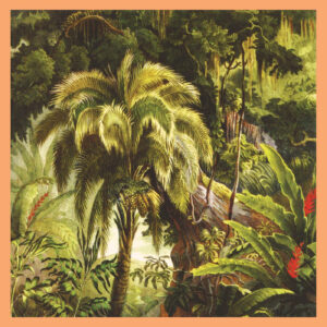 Xiu Xiu — La Foret (Jade Eco-Mix Vinyl) album cover